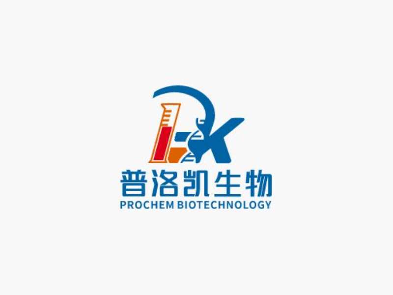 Ultra Sensitive ECL（超敏ECL发光液）