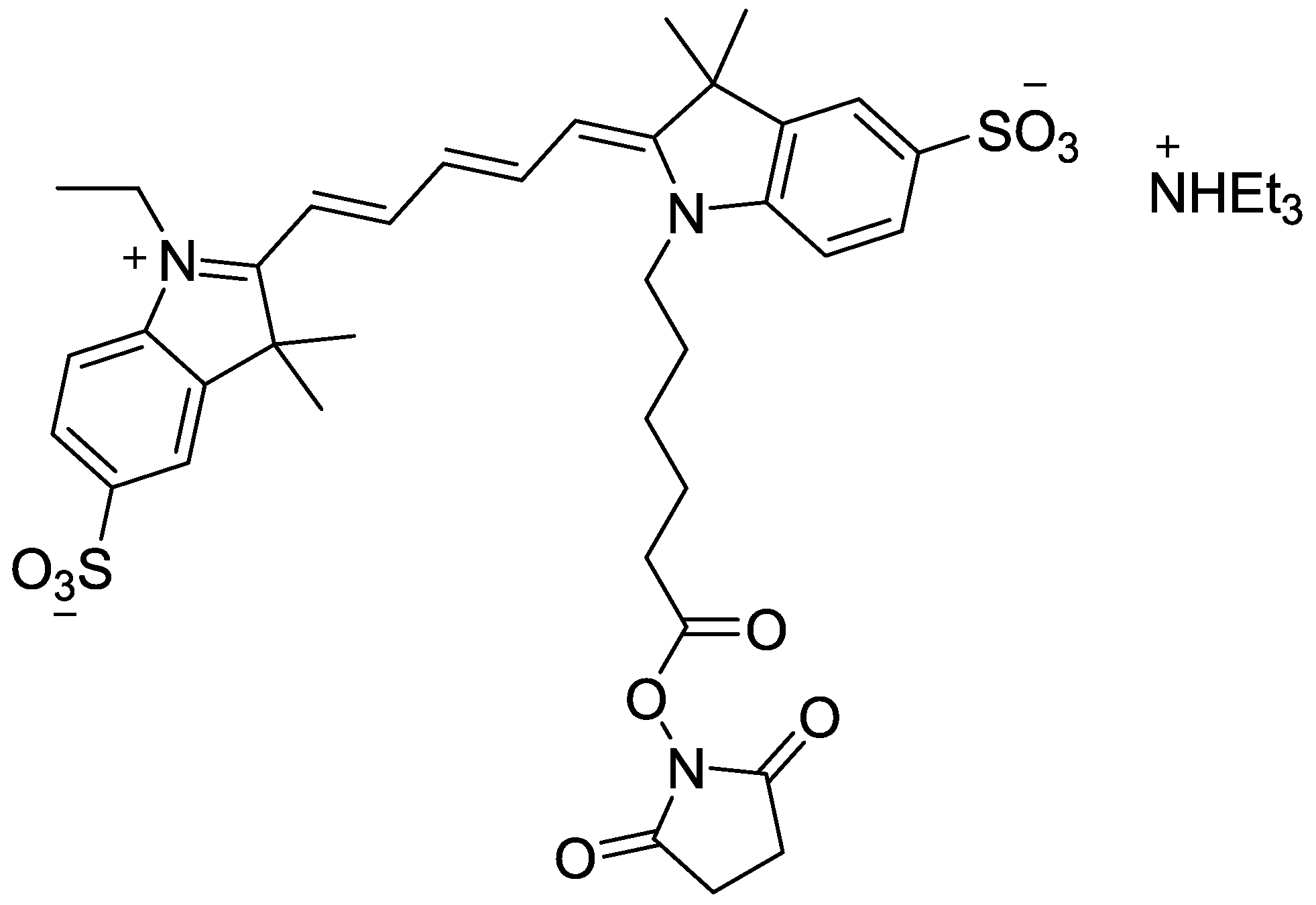 Sulfo-Cy5 NHS ester 