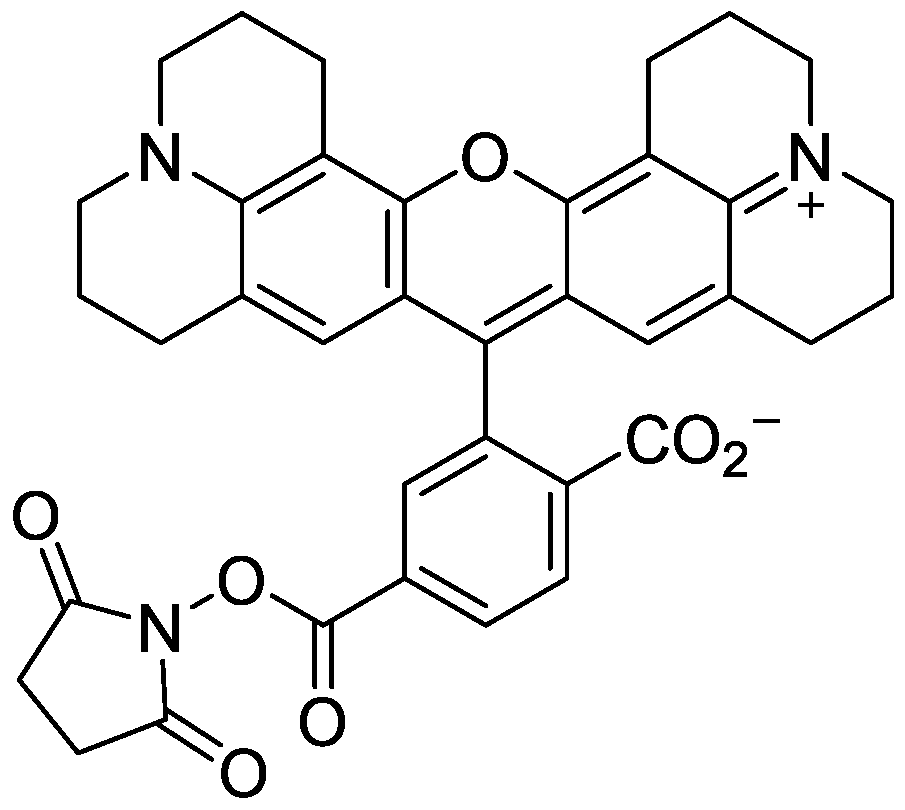 6-ROX NHS ester
