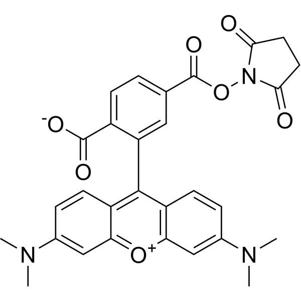 6-TAMRA NHS Ester