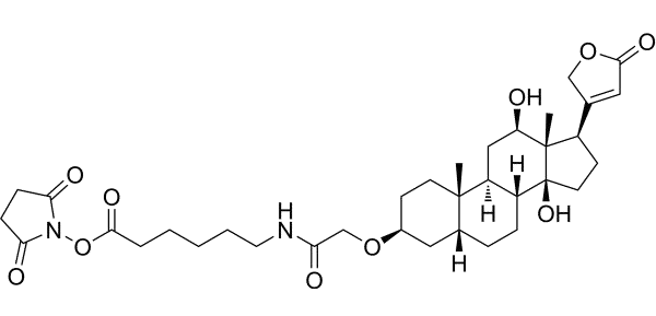 Digoxigenin NHS Ester 