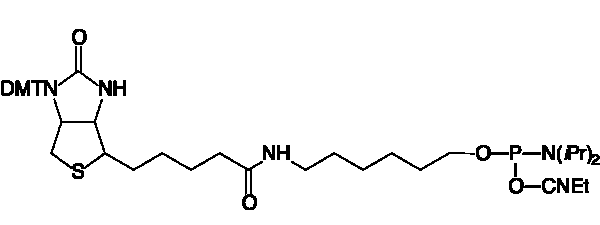 Biotin Amidite