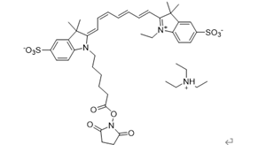 Sulfo-Cy7 NHS Ester