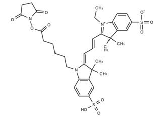 Sulfo-Cy3 NHS Ester