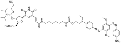 BHQ-2-dT Amidite