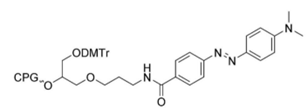 3'-Dabcyl CPG