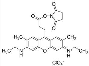 ATTO 520 NHS Ester