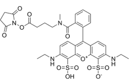 ATTO 532 NHS Ester